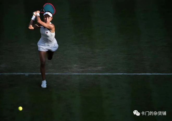 众多国家级 众多国家级