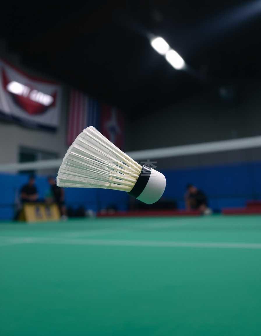 自由式小轮 自由式小轮